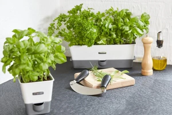 Cole & Mason Bristol Öl- Und Essig DUO Ausgießer, Ungefüllt, 23 Cm - Image 7