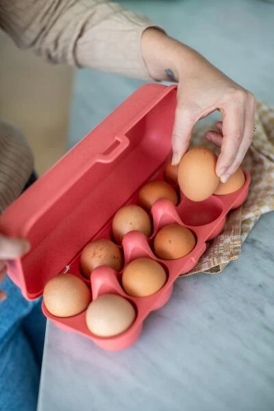 Koziol Eierbox In Coral Für 10 Eier - Image 3