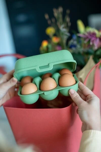 Koziol Eierbox In Grün Für 6 Eier - Image 5