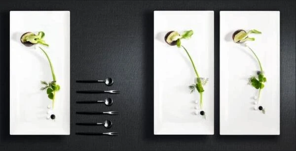 ASA Teller à Table Rechteckig 17 X 8,5 Cm - Image 3